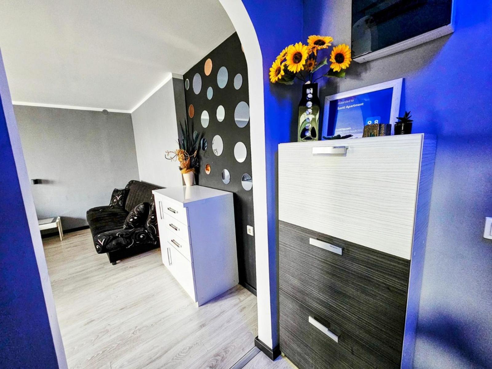 Ni Savic Apartment Center - Parking Free מראה חיצוני תמונה